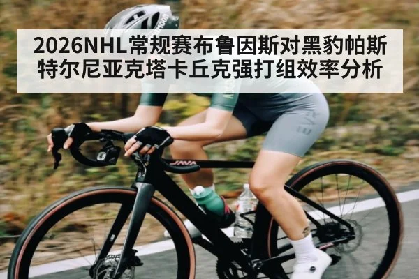 2026NHL常规赛布鲁因斯对黑豹帕斯特尔尼亚克塔卡丘克强打组效率分析
