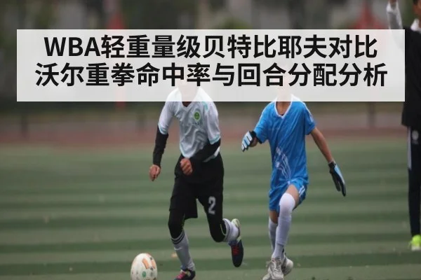 WBA轻重量级贝特比耶夫对比沃尔重拳命中率与回合分配分析